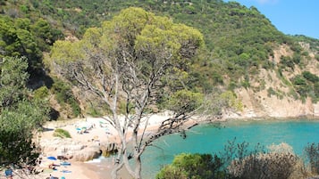 Playa en los alrededores