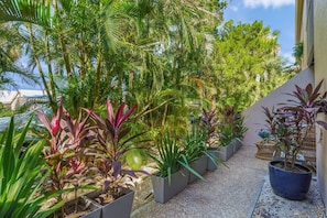 A pathway lined with potted plants and palm trees, leading to a building.