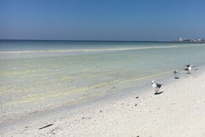 On the beach, beach towels, snorkeling, motor boating