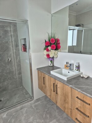 Shower, hair dryer, towels, soap