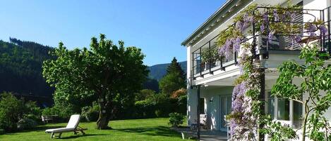 テラス / パティオ