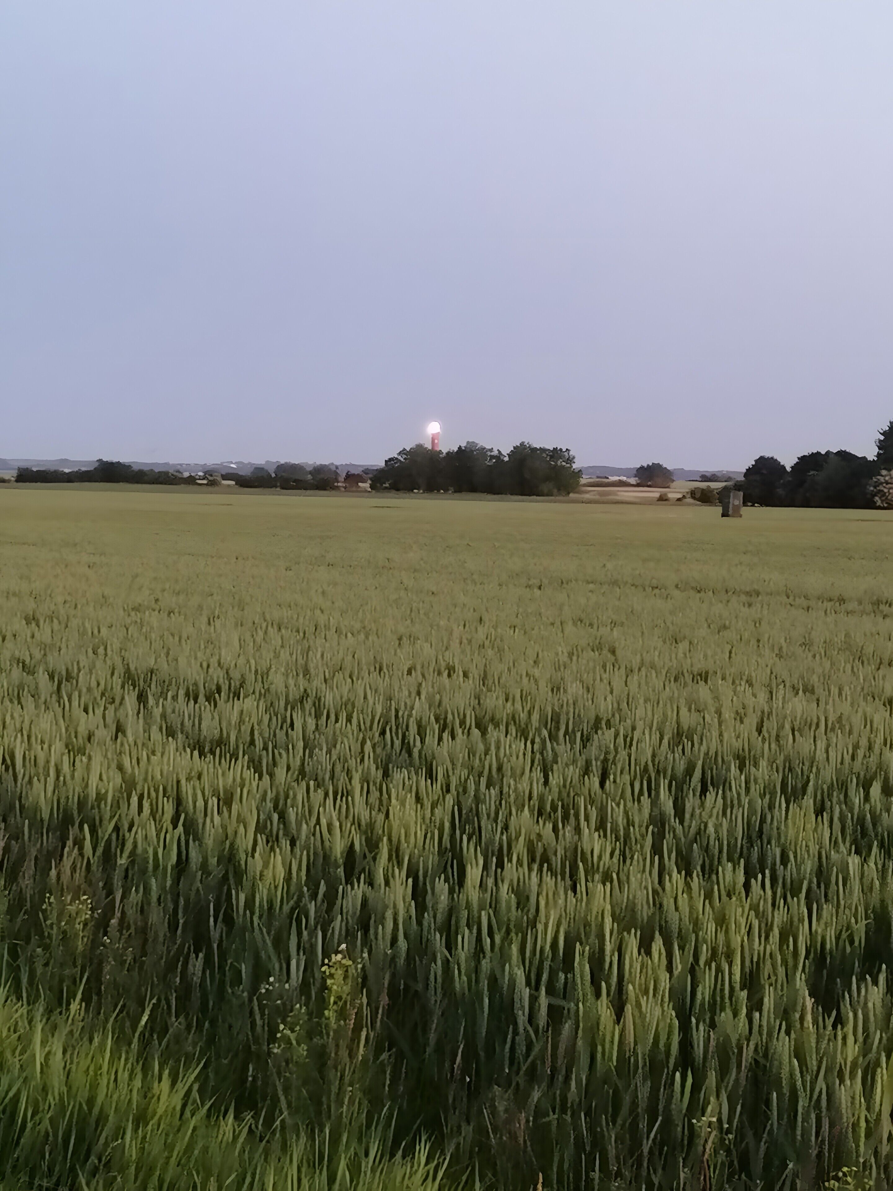 Ein weites, offenes Feld mit einer entfernten Struktur, möglicherweise einem Wasserturm, unter blauem Himmel.