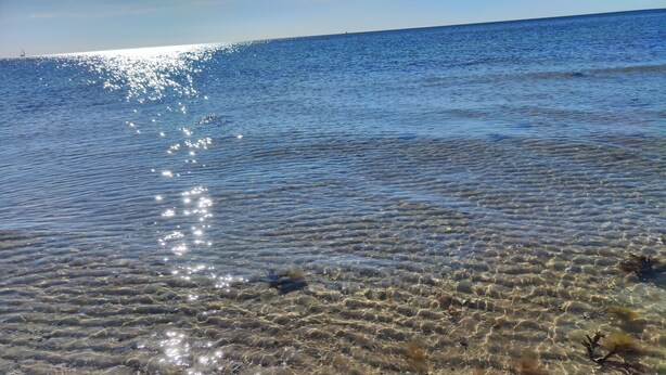 Clear shallow water with visible rocks and seaweed, reflecting sunlight. - Holiday Home Little Lighthouse-Backbord Terrace, Garden, Wi-Fi, Bike Garage, EV Charging (Fehmarn)