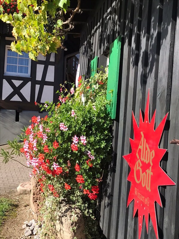 A building with a sign reading 'Alte Grot' and a garden with red flowers.