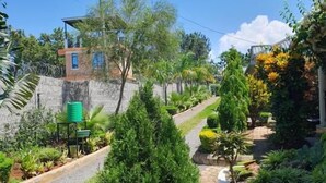 Zona residenziale con strada lastricata, muro in pietra e diverse piante e alberi.