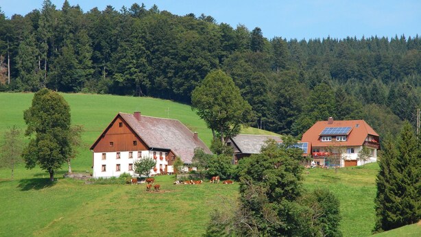 Een landelijke omgeving met twee huizen, waarvan er een een schuin dak heeft en de ander voorzien is van zonnepanelen, omgeven door een groen veld en beboste heuvels.