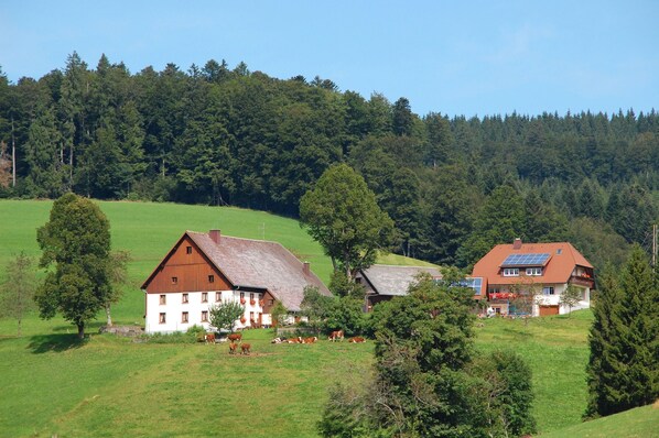 Aussenbereich