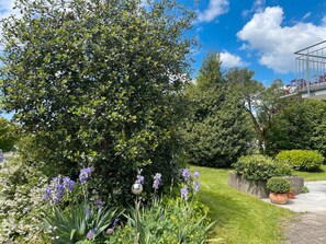 Overnatningsstedets område