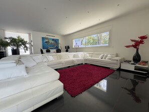 Smart TV, fireplace, DVD player, stereo