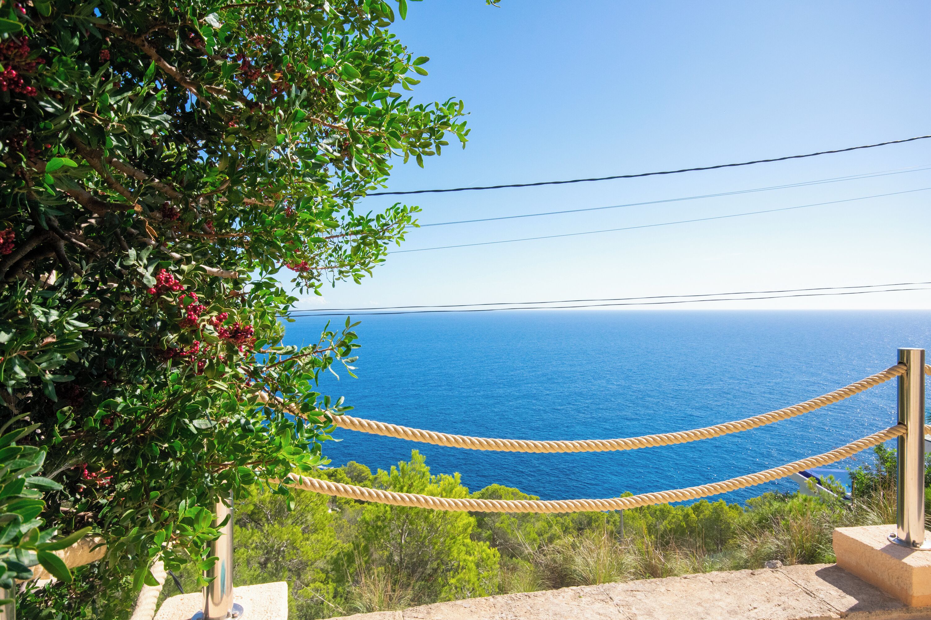 Una barrera de cuerda con vistas a la costa, con vegetación y un cielo despejado.