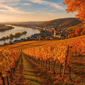 Un vignoble avec des rangées de vignes, une ville avec des bâtiments et une église, et une rivière en arrière-plan.