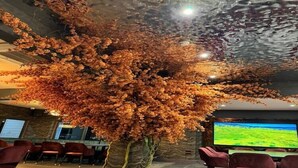 Un hall d’entrée avec un grand arbre artificiel, un téléviseur à écran plat et plusieurs fauteuils rouges.