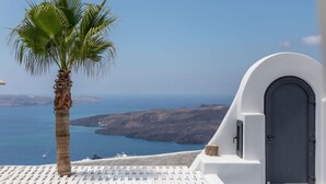 A white building with a door and a palm tree. - Mansion Orny with 2 private pool - My Rental Homes (Fira)