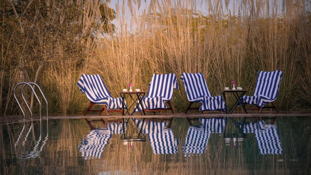 A poolside area with four striped lounge chairs and a small table with a vase. - Impian Resort (Jodhpur)