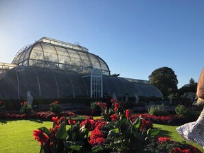 Un invernadero grande con techo de vidrio curvo, rodeado de macizos de flores bien cuidados con flores rojas.