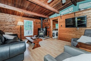 Smart-TV, Kamin
