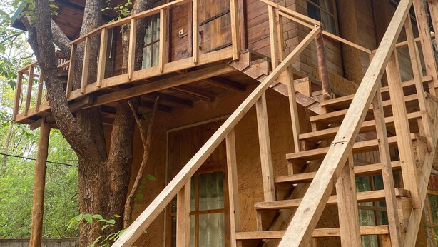 Une cabane en bois perchée dans un arbre, avec un escalier en bois et un balcon.