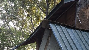 Un bâtiment de style rustique, doté d’un toit en métal incliné, de poutres en bois et d’un petit jardin agrémenté de plantes en pot.