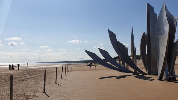 Een strand met metalen sculpturen en een heldere lucht.