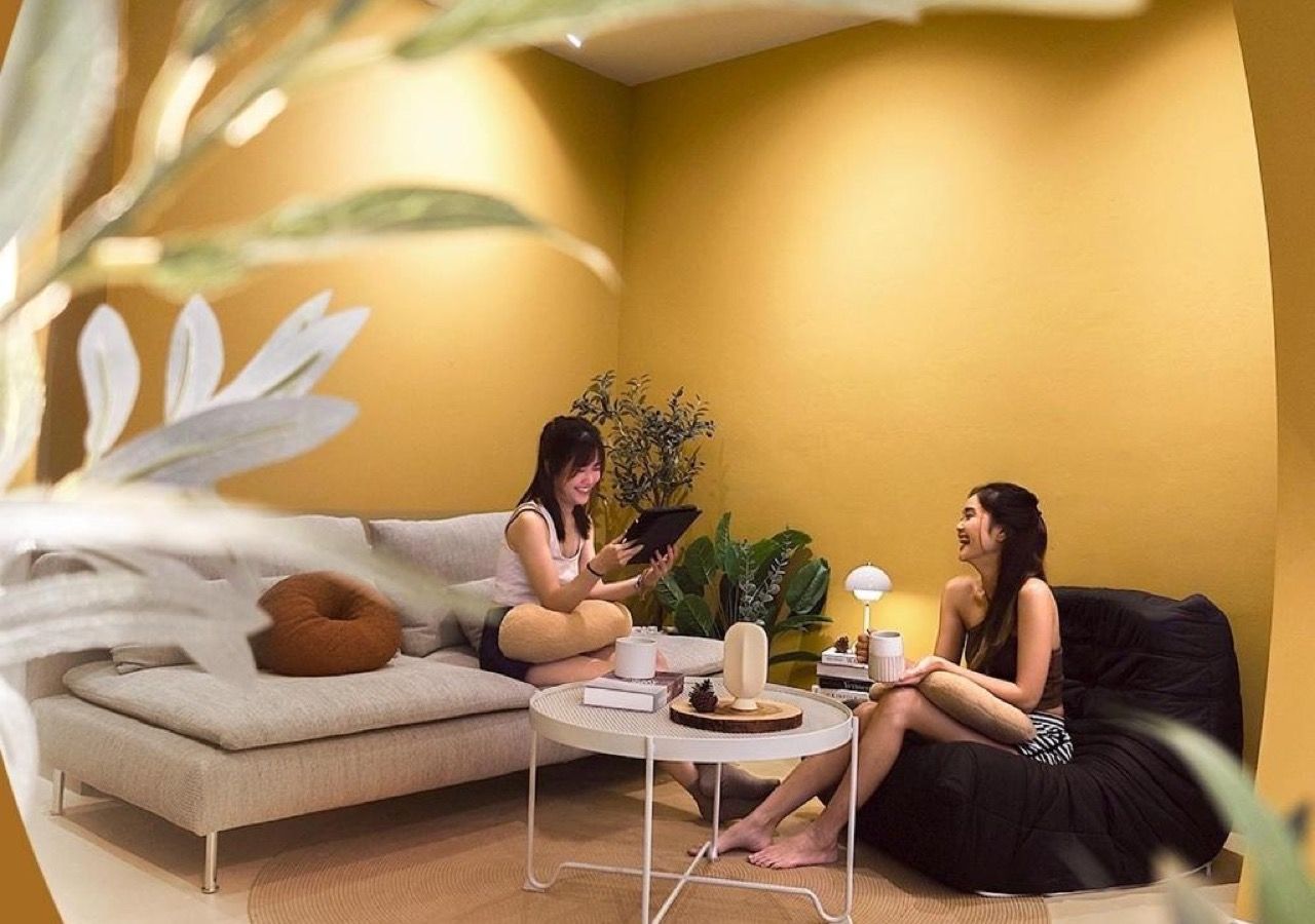 A modern living room with a sofa, a coffee table, and a plant.