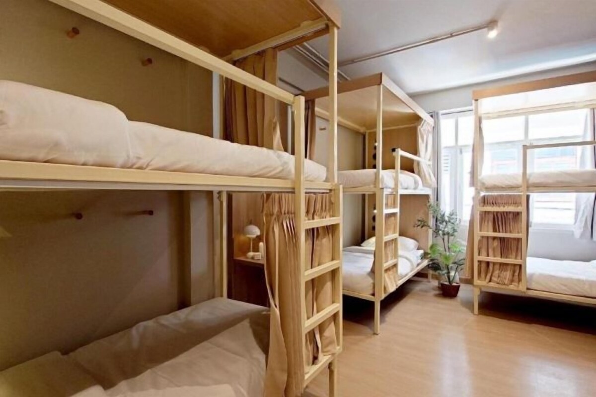 A dormitory room with bunk beds, a small table, and a potted plant.