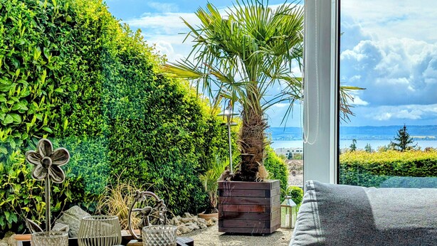 Unclassified image, 1 of 20, button - Vacation apartment with a view of Lake Constance under palm trees (Daisendorf)