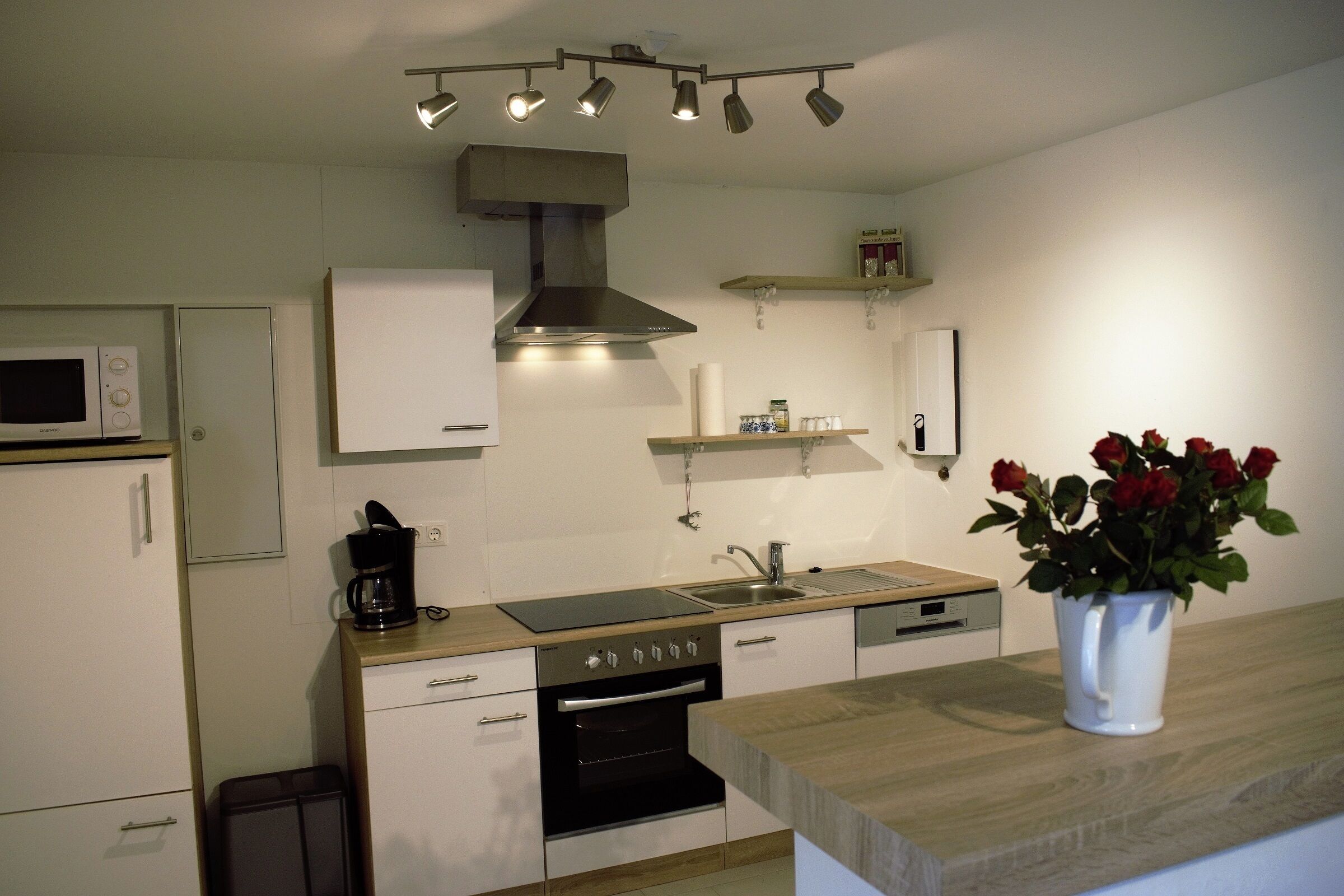 Kjøleskap, mikrobølgeovn, ovn og kokeplater