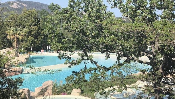Un espace piscine agrémenté de plusieurs éléments aquatiques, entouré d’arbres et de rochers.