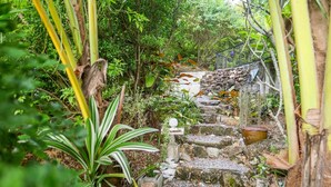A stone staircase surrounded by lush greenery and a metal fence.