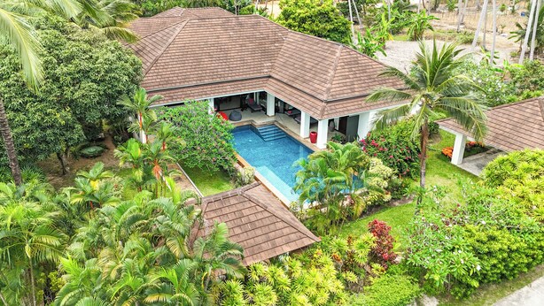 Une maison avec une piscine, entourée d’une végétation luxuriante et de palmiers.