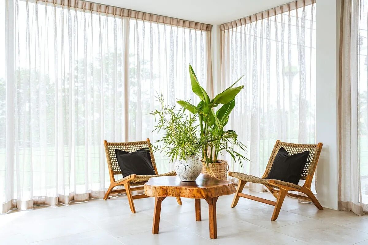 A room with a round wooden table, two wicker chairs, and a large potted plant.