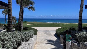 Un sentier qui mène à une plage bordée de palmiers, sous un ciel bleu et dégagé.