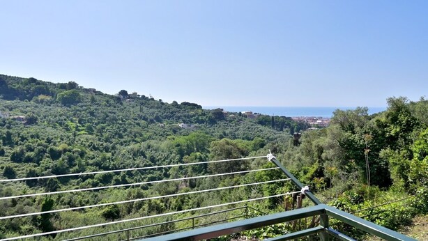 Blick von einem Balkon mit Metallgeländer auf einen dicht bewaldeten Hang und eine entfernte Küstenlinie.