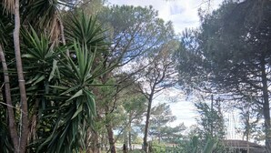 Un jardin avec différentes sortes de plantes, un chemin de pierres et une clôture.