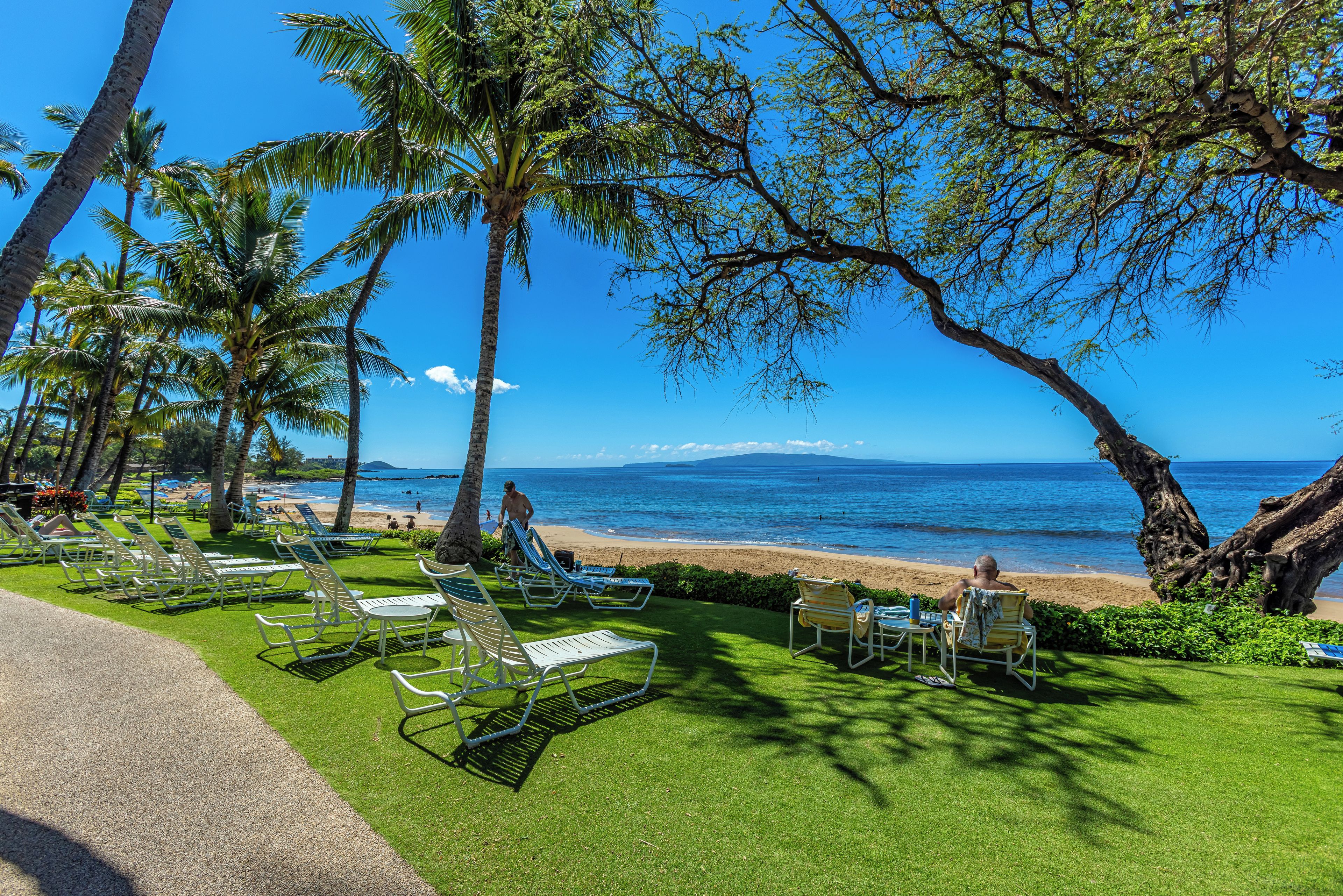 A beachside lounge area with sun loungers and a view of the ocean.