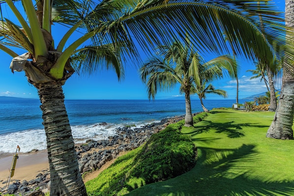 A coastal view with palm trees, a grassy area, and a rocky shoreline. - Hale Pau Hana #707 Ocean Front, Central AC, Oceanfront Complex (Kihei)