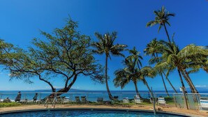 Zona de piscina con agua azul cristalina, rodeada de palmeras y vista al océano.
