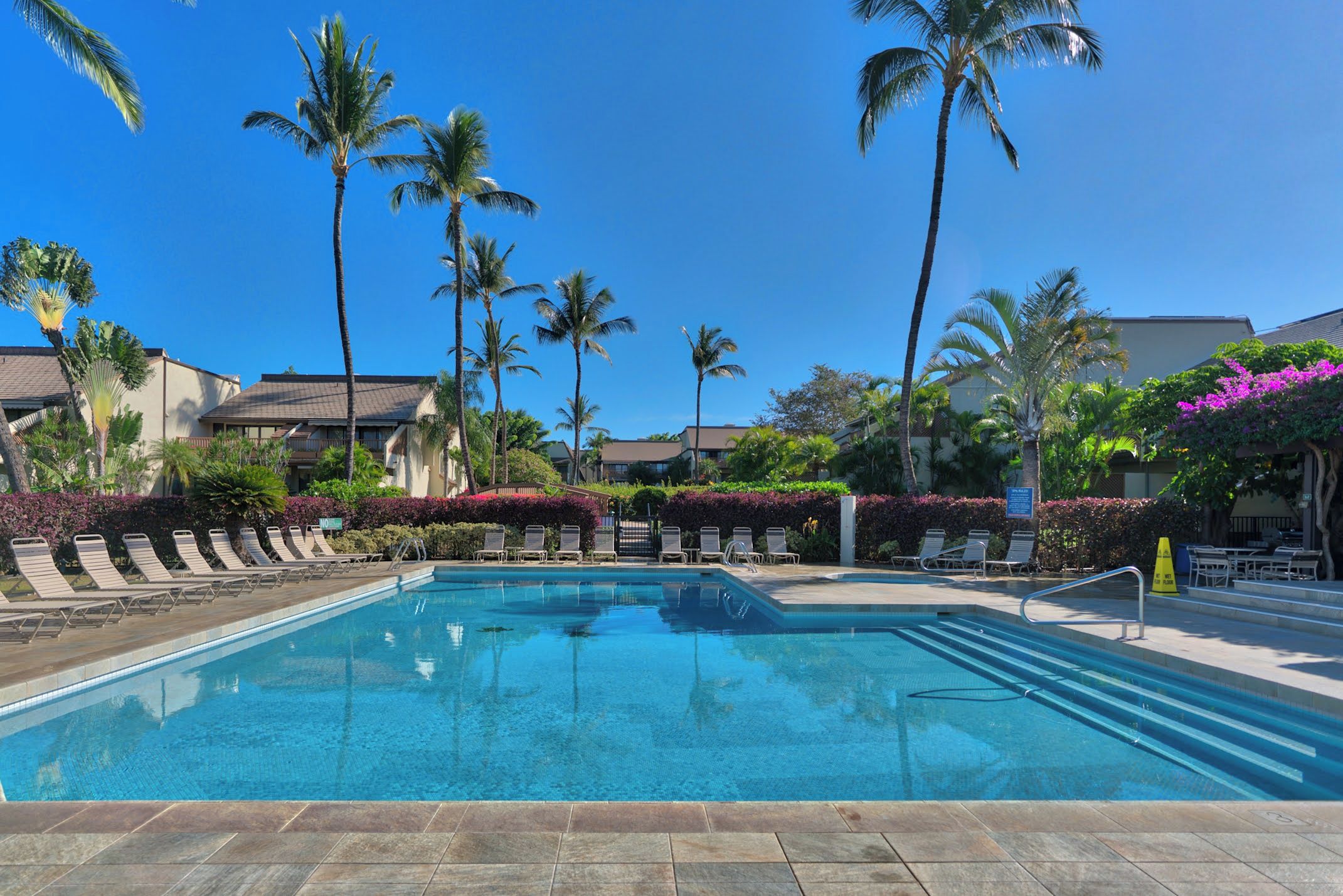 A swimming pool with lounge chairs and palm trees.