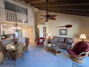 Smart TV, DVD player, books, video library