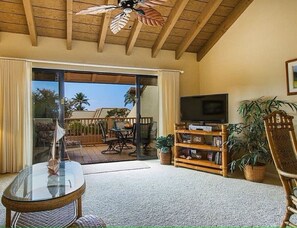 TV connectée, lecteur de DVD, livres, vidéothèque