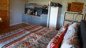 Une petite chambre comprenant un lit, une kitchenette et une armoire.