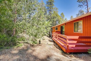 Interior - Across From Hiking Trails: Woodsy Studio! (Idyllwild)