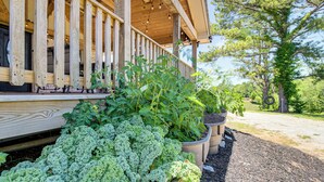 A wooden porch with a railing, potted plants, and a view of a tree and sky. - Deck & Yard: 'margy's Farmhouse' in Jasper (Jasper)