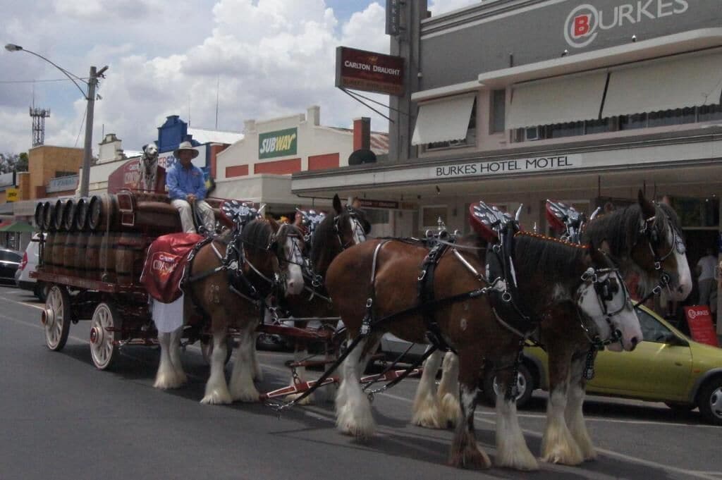 Un carruaje tirado por caballos frente a un hotel con un cartel que dice "BURKES HOTEL MOTEL".