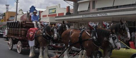 Un carruaje tirado por caballos frente a un hotel con un cartel que dice "BURKES HOTEL MOTEL".