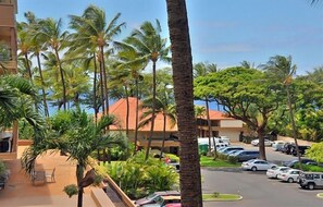 Condo, 1 quarto | Área da propriedade