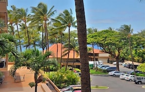Condo, 1 quarto | Área da propriedade