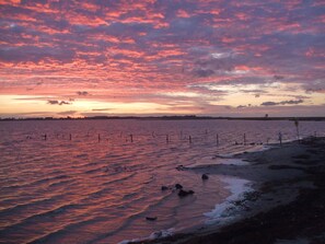 Beach - New vacation apartment in Kappeln/Schlei, quiet, central location. Dog friendly! (Kappeln)