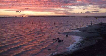New vacation apartment in Kappeln/Schlei, quiet, central location. Dog friendly!