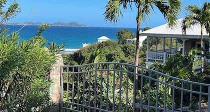 Blue Pearl Villa in St. John USVI, private, gated, 6 bed, 2 bath, private pool.